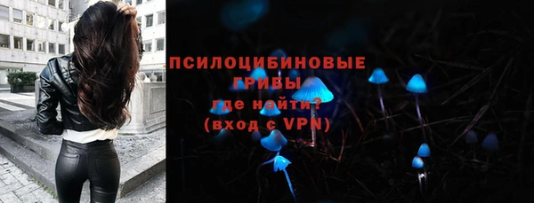 гашик Пестово