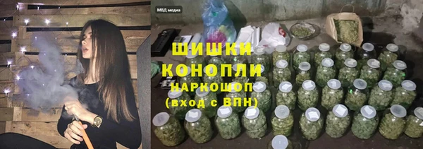 гашик Пестово