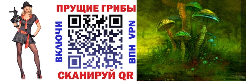 Галлюциногенные грибы Psilocybine cubensis Миллерово